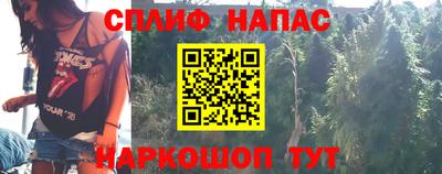 гидра Гусиноозёрск