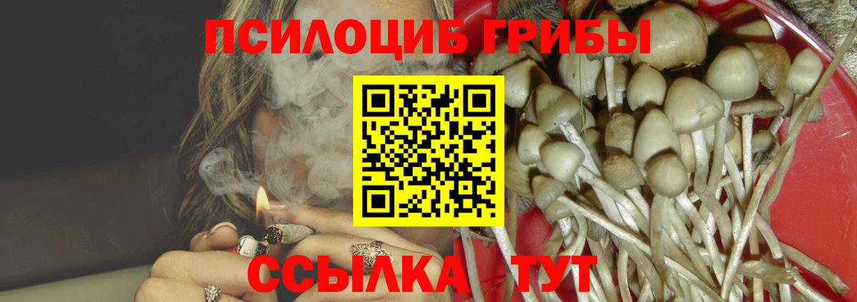 продажа наркотиков  Псилоцибиновые грибы Psilocybine cubensis  Вход с VPN  Новозыбков 